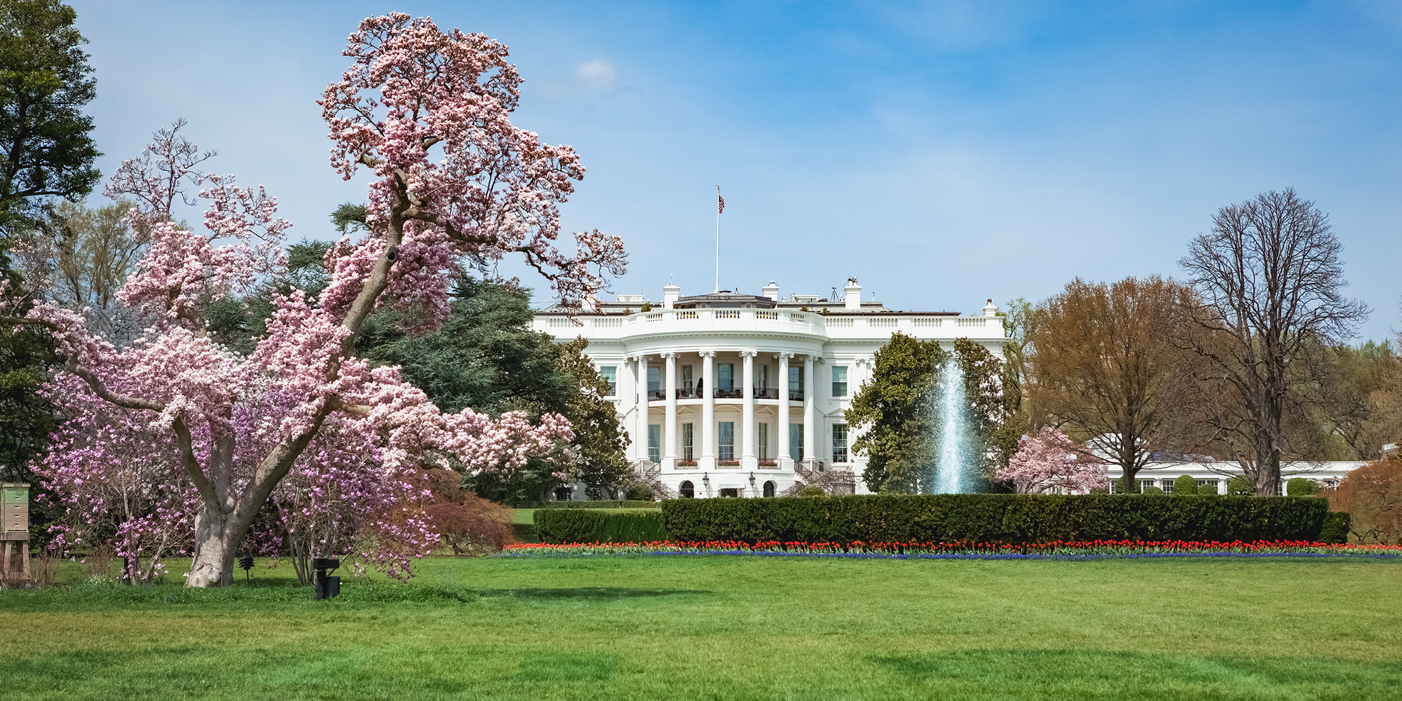 White House in Washington im Frühling